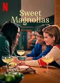 Sweet Magnolias (甜木兰 第一季)