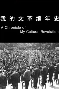 A Chronicle of My Cultural Revolution