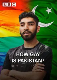 How Gay Is Pakistan?