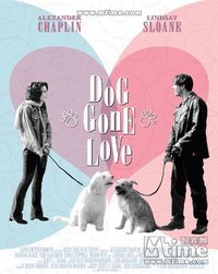 Dog Gone Love