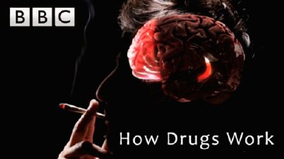 BBC 剖析毒品