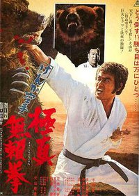 Karate Bullfighter