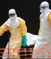 BBC Horizon: Ebola - The Search for a Cure