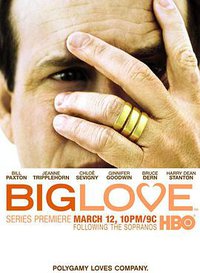 Big Love Season 1