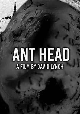 Ant Head