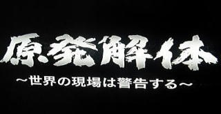 核電廠解體 來自世界現場警告