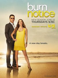 Burn Notice Temporada 5