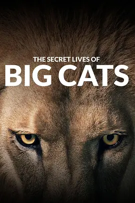 The Secret Lives of Big Cats