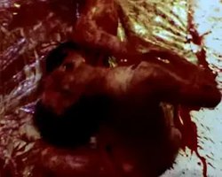 Submit to Me