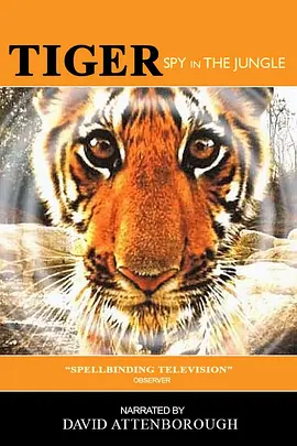Tiger - Spy in the Jungle
