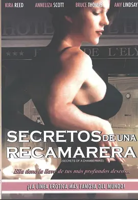 Secrets of a Chambermaid