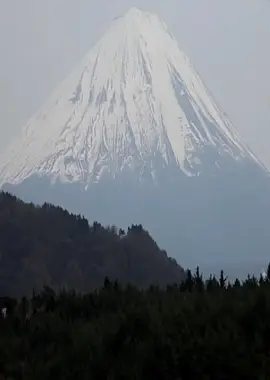 AOKIGAHARA SUICIDE FOREST