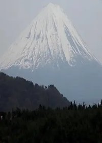 AOKIGAHARA SUICIDE FOREST