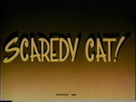 Scaredy Cat!