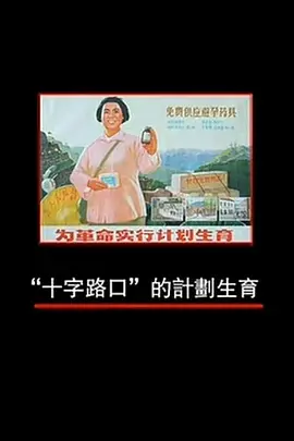凤凰大视野:十字路口的计划生育