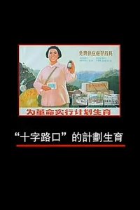 凤凰大视野：十字路口的计划生育