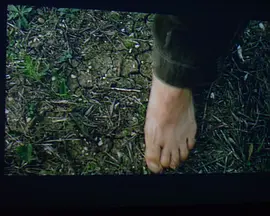 Scenes From a Wild Boar Hunt