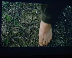Scenes From a Wild Boar Hunt