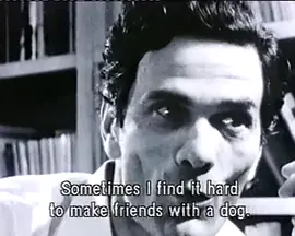 Pasolini, the Rebel