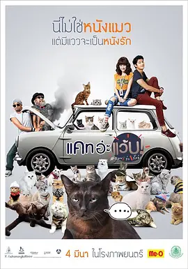Cat a Wabb!
