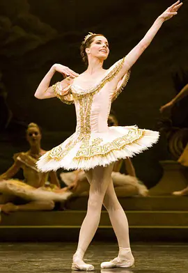 Darcey's Ballerina Heroines