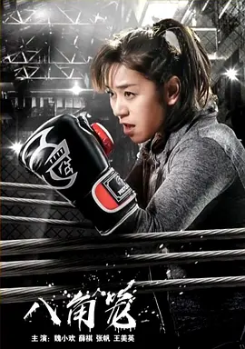 The Battle of Octagon Cage