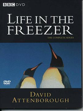 Life In The Freezer