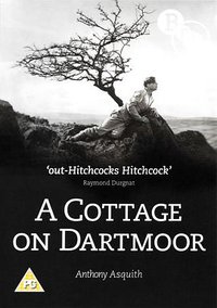 A Cottage on Dartmoor