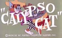 Calypso Cat
