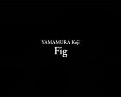 Fig