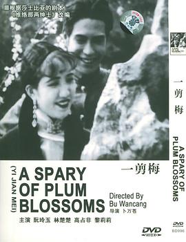 A Spray of Plum Blossoms