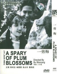 A Spray of Plum Blossoms