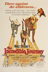 The Incredible Journey