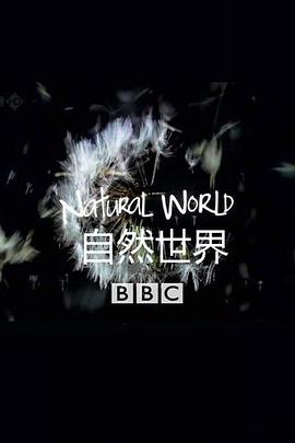 自然世界：美洲豹 - 巴西的超级猫科动物