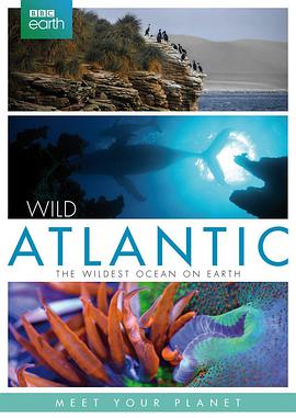 Atlantic: The Wildest Ocean on Earth