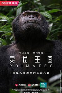 灵长王国