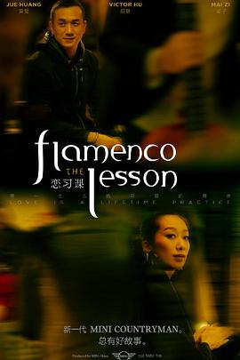 The Flamenco Lesson