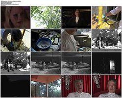 Dynamic:01: The Best of DavidLynch.com