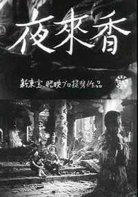 夜来香
