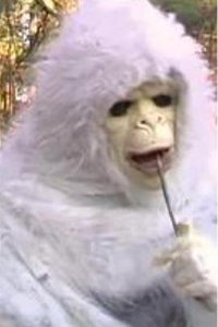 Yeti:A Love Story