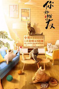 My Catmate