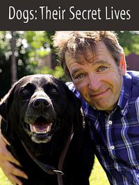 Dogs: Their Secret Lives
