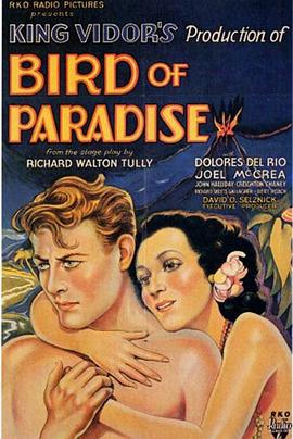 Bird of Paradise