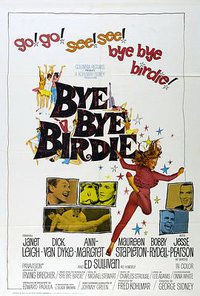 Bye Bye Birdie