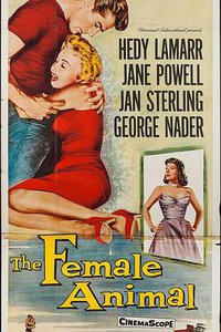 The Female Animal