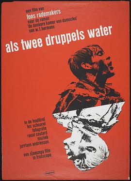Like Two Drops of Water