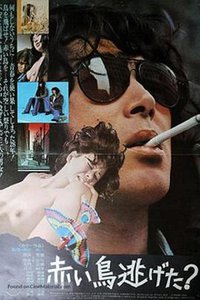 红鸟逃跑了?