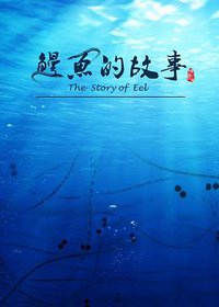 The Story of Eel