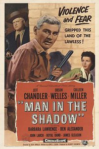 Man in the Shadow