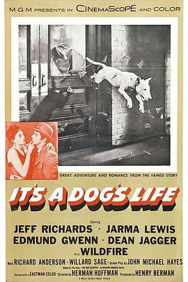 It's a Dog's Life
